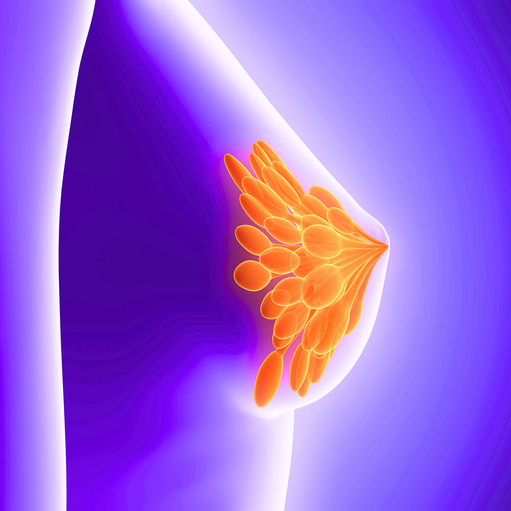 Bust Enhance Curves, Naturally (Women)