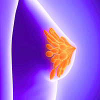 Bust Enhance Curves, Naturally (Women)